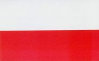 flaga panstwowa III Rzeczypospolitej 1