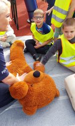 2025.09 wiewiórki 1 200